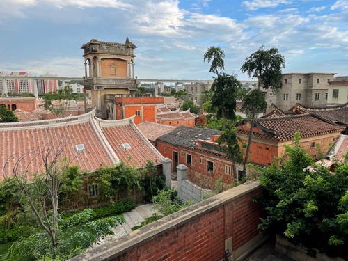 梧林南洋夢(mèng) 起大厝與實(shí)業(yè)報(bào)國(guó)的家國(guó)情懷